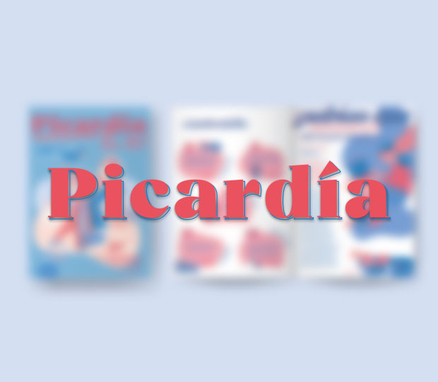 portada proyecto picardia